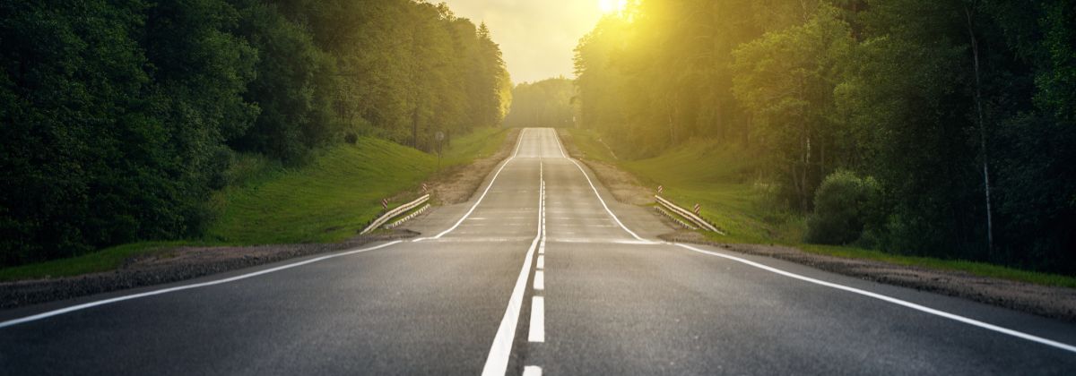 Roadmap; empty highway through forest at sunrise with sunlight shining through trees.
